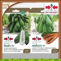 ราคา เมล็ดพันธุ์ผัก กลุ่มมะละกอ มะละกอส้มตำ (แบบซอง) เมล็ดมะละกอ มะละกอแขกดำ แขกนวล มะละกอฮอลแลนด์ เมล็ดพันธุ์คุณภาพ ตราศรแดง (5524254573)