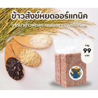 ราคา ข้าวสังข์หยดพัทลุง ขัดสีแบบน้อยทานง่าย ข้าวกล้องสุญญากาศ (43050142925)