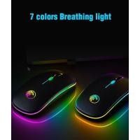 ราคา เม้าส์เงียบ เมาส์ไร้สาย Razeak RWM-520 2.4G ไร้เสียง ชาตแบตได้ (27404929606)