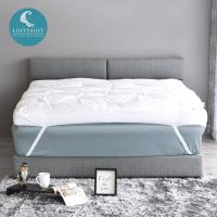ราคา LOFTYSOFT Topper ขนห่านเทียม รุ่น Premium หนา 4 นิ้ว ผ้าคอตตอนเกรดดาวน์พรูฟกันไรฝุ่น (9131835720)