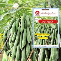 ราคา เมล็ดพันธุ์มะละกอครั่ง (เมล็ดพันธุ์คุณภาพดี) (5638267236)