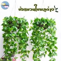 ราคา ช่อแขวนพลูด่าง (PF-F4026)พลูด่าง พลูด่างปลอม ช่อใบไม้ย้อย ใบพลูด่างย้อยดอกไม้ช่อไม้เลื้อยตกแต่งบ้าน TS- 17678 (พร้อมส่ง) (13923630514)