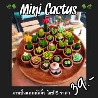 ราคา งานปั้นแคคตัสจิ๋ว / กระบองเพชรจิ๋ว (ไซซ์ S) (106742562)