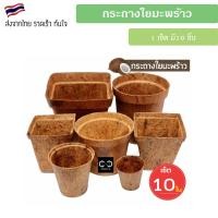 ราคา พร้อมส่ง (แพ็ค 10 ชิ้น) กระถางต้นไม้ใยมะพร้าว กระถางใยมะพร้าว กระถาง gallon pot coco pot (19275707563)