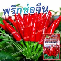 ราคา [ซองใหญ่ 500 เมล็ด] เมล็ดพันธุ์พริกช่อจีน เมล็ดพริกช่อ Thee Cherry Pepper (23073162671)