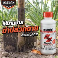 ราคา เชนไดร้ท์ (CHAINDRITE) ยากำจัดปลวก สเตดฟาส 30SC (18218814011)