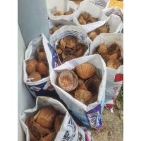 ราคา กะลามะพร้าว กะลามะพร้าวดิบ (26829729615)