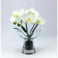 ราคา แจกันดอกกล้วยไม้ประดิษฐ์ กล้วยไม้สีขาวพร้อมพานแก้ว (7577341323)