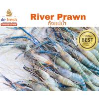 ราคา กุ้งแม่น้ำ สด และ แช่แข็ง คัดคุณภาพ ตัวสวย เนื้อแน่น #กุ้งแม่น้ำ #seafood #defresh (7120506891)
