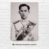 ราคา ภาพประดับบ้าน รูปมงคล พระฉายาลักษณ์ รัชกาลที่9 พระบาทสมเด็จพระบรมชนกาธิเบศร ร9ขนาด 15x21 นิ้ว สำหรับใส่กรอบ หรือติดผนัง (7296560311)