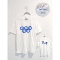 ราคา เสื้อยืด Port and Company มือสอง (8294309969)