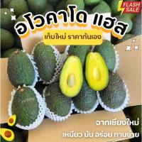 ราคา Hass =1กิโลกรัม= อโวคาโด้พันธ์ุเเฮส Avocado อโวคาโด อโวคาโด้ อโวคาโด อะโวคาโดสด อโวคาโด อโวคาโด้ อโวคาโด้ อโวคาโด (41455399016)