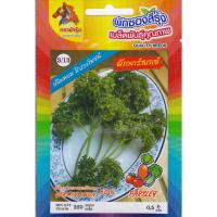 ราคา RAINBOWHORSE ผักซอง ม้ารุ้ง Z3/13 ผักพาร์สเลย์ เมล็ดพันธุ์ ผักซอง เมล็ดพันธุ์ผัก เมล็ดผัก ผักสวนครัว (40273016410)