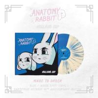 ราคา Vinyl Anatomy Rabbit Holland Lop SS (26861016276)