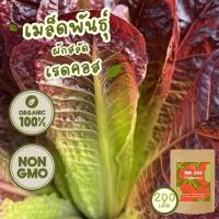 ราคา เมล็ดพันธุ์ ผักสลัด เรดคอส 100%ออร์แกนิค Non-GMO (Red Cos Organic Lettuce Seed) บรรจุ 200 เมล็ด [ซื้อ 5 แถม 1!] (27573355395)