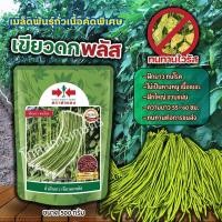 ราคา เมล็ดพันธุ์ถั่วฝักยาว เขียวดกพลัส (ศรแดง) 500 กรัม (25135571106)