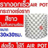 ราคา *ไม่พับตอนส่ง* กระถางปลูกต้นไม้เร่งรากAir Pot (เกรดAเนื้อเงา)กระถางมีรู เพิ่ม เร่งรากเร็วขึ้น2เท่า กระถางต้นไม้เพิ่มราก (16024018107)