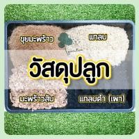 ราคา ขุยมะพร้าวแห้ง กาบมะพร้าวสับ แกลบ แกลบดำ วัสดุปลูก (5362215831)