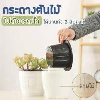 ราคา พร้อมส่ง กระถางต้นไม้ รดน้ำเอง อัตโนมัติ ไม่ต้องรดน้ำ 2 สัปดาห์ กระถางพลาสติก ปลูกต้นไม้ กระถางรดน้ำต้นไม้อัตโนมัติ (5549196569)
