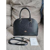 ราคา coach dome 13 นิ้ว **Used** (17861768488)