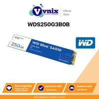 ราคา WD BLUE SA510 250GB เอสเอสดี SSD SATA M.2 2280 (WDS250G3B0B) รับประกัน 5 ปี By Vnix Group (23278494172)