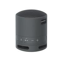 ราคา SONY ลำโพงพกพาบลูทูธ รุ่น SRS-XB100 สีดำ (40202151730)