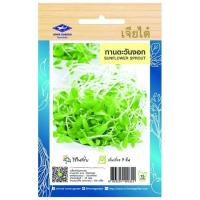 ราคา ทานตะวันงอก CT/OP-160 ผักซอง เจียไต๋ เมล็ดพันธุ์ผัก เมล็ดผัก เมล็ดพืช ผักสวนครัว ซองประมาณ 300 เมล็ด (22879833820)