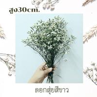 ราคา ดอกไม้แห้ง ดอกสุ่ยมี4สีให้เลือก ดอกไม้แห้ง ดอกสุ่ยแห้งพร้อมส่ง (26163594637)