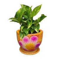 ราคา กระถางต้นไม้ ดินเผา 6 นิ้ว กระถางดินเผา สำหรับปลูกต้นไม้ (15868773111)