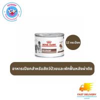 ราคา Recovery Royal Canin 12 กระป๋อง อาหารเปียกสำหรับสัตว์ป่วยระยะพักฟื้น (19690151143)