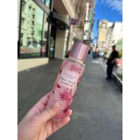 ราคา น้ำหอมvictoria’s secret - velvet petals cashmere mist (23360744854)