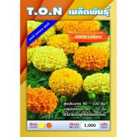 ราคา เมล็ดดอกดาวเรือง 1000+ เมล็ด ซื้อ 3ฟรี 1 คัดเกรด ดอกใหญ่แน่น ส้ม เหลือง (7432184673)