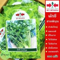 ราคา เมล็ดพันธุ์ ผักชี สายพิรุณ 300 กรัม ตราศรแดง ลำต้นใหญ่ มีใบมาก ใบไม่ฝอย มีกลิ่นหอม เมล็ดผักชีสายพิรุณ ผักชีสายพิรุณ (3557932860)