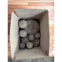 ราคา บัวบกโขด 1กก.คละขนาด(หัวตำหนิ) ไม้หัว หัวบัวบกโขด ไม้โขด (20969867252)