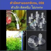 ราคา จุกยาง ตัวยึดสายออกซิเจน, CO2 ตู้ปลา suction cup (5265907747)