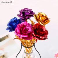 ราคา Charmanta ดอกกุหลาบสีทองชุบทอง 24k ครบรอบของขวัญคนรักวันวาลีน VN (29459327561)
