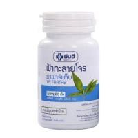 ราคา ยันฮี ยา ฟาร์แท็บ Yanhee YA FARTAB ฟ้าทะลายโจร บรรจุ 60 เม็ด / ฟ้าทะลายโจร สกัด 60 TAB 20670 (10673430842)