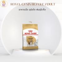 ราคา Royal Canin Beagle Adult - อาหารเม็ด สุนัขโต พันธุ์บีเกิ้ล 3 Kg (28405987434)