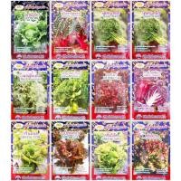 ราคา เมล็ดพันธุ์ ผักสลัด (มากกว่า25ชนิด) ตราภูเขาทอง (19192567502)