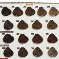 ราคา สีผม ฟาเกอร์ สีแฟชั่น โทนเทา โทนเขียว และแม่สี กล่องใหญ่ปริมาณเยอะ สีสวยคมชัด (8584487577)