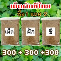 ราคา MK จัดโปร ซื้อ1เเถม2 เม็ดผักชี 300+300+300กรัม เมล็ดผักชี เม็ดผักชี ผักชี ผักชีไทย ผักชี เมล็ดผักชี เม็ดผักชี (28036390281)