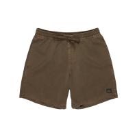 ราคา QUIKSILVER กางเกงบอร์ดชอร์ตผู้ชาย Mens Everyday Surfwash 17" Swim Shorts-Brown 253 EQYJV04156-CSD0 (42712793953)