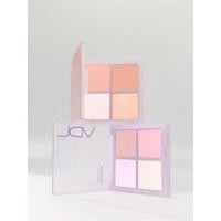 ราคา [VDL] Cheek Stain Blusher Palette 10g – Multi Glow & Matte Mix (28632227885)