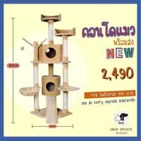 ราคา คอนโดแมวpetkits (575177917)