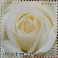 ราคา [แสตมป์ไปรษณีย์ไทย ยังไม่ใช้] ปี 2552 ชุดกุหลาบขาว หน้าดวง 5บาท (ดวงเดี่ยว) (18195524284)