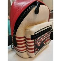 ราคา คาดอกโค้ชมินิ​ รุ่นมิกกี้​เม้าส์​limited (22911030728)