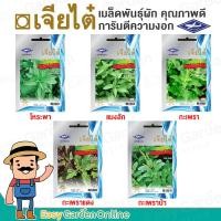 ราคา เจียไต๋ ผักซอง เมล็ดพันธุ์ผัก (ผักสายพันธุ์ทั่วไป) โหระพา แมงลัก กะเพรา (3286429402)