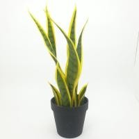 ราคา Tree O ต้นลิ้นมังกร ประดิษฐ์ สูง 40CM รุ่น AL17T089 สีเหลือง (23282075536)