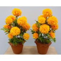 ราคา ต้นดาวเรืองปลอม ต้นดาวเรืองประดิษฐ์ (2 กระถาง) ดอกดาวเรืองบานสะพรั่ง ประดับหน้าพระบรมฉายาลักษณ์ (3877572338)