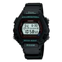 Casio Standard (DW-290-1VS)